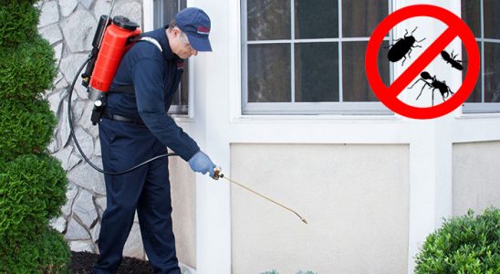 Karahallı Haşere İlaçlama böcek ilaçlama ve haşere kontrolü — ilaclama-tr.com